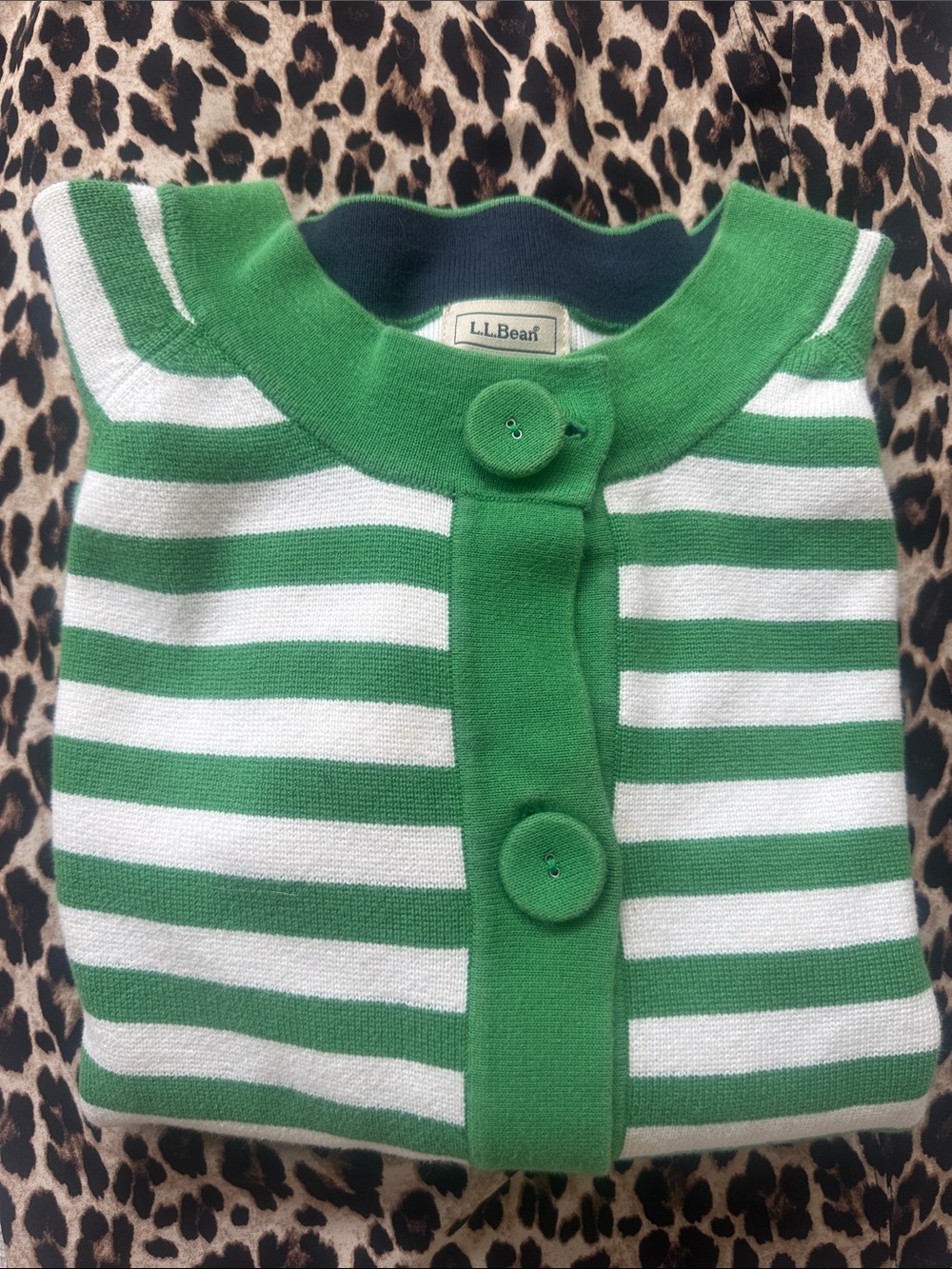 L.L. Bean Green and White Striped Button Cardigan